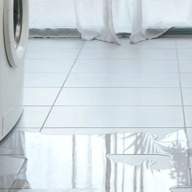 Appliance Leak Cleanup in Lancaster County, SC