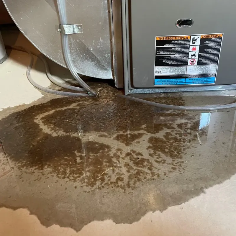Pipe Burst and Leak Restoration in Lancaster County, SC
